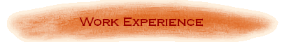 Work Experience