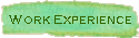 Work Experience
