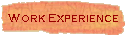 Work Experience