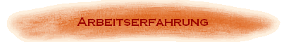 Arbeitserfahrung